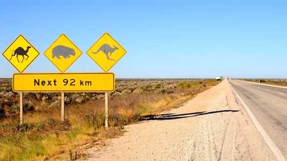 Nullarbor animal warning signs