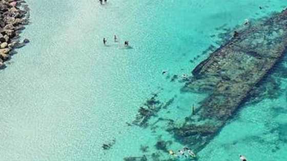 Best snorkelling and shipwreck sites around Perth