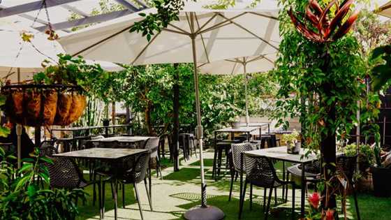 Perth's Best Garden Cafés