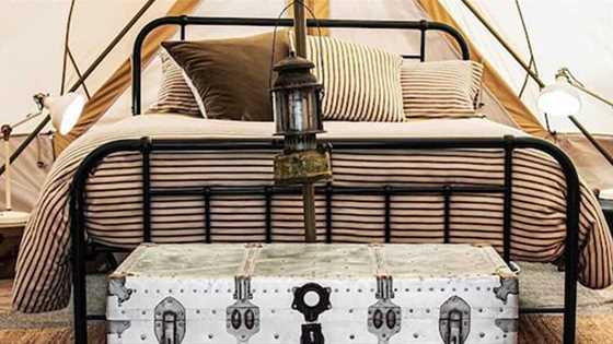 vintage style bed and trunk in tent