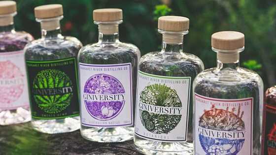 Get to know WA's boutique gin distilleries