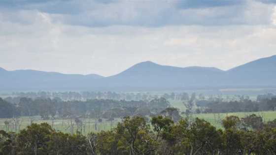 Mt Barker/ Porongurups