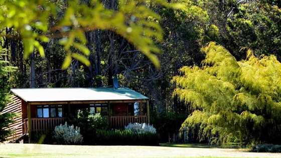 Family-friendly farmstays from Ferguson Valley to Pemberton and Margaret River