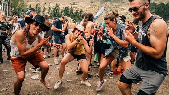 Top 5 music festivals in New Zealand