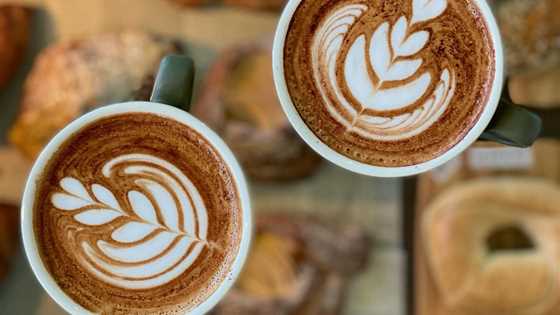 Discover the best Einspanner coffee spots in Perth