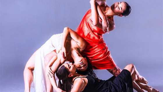 WAAPA dance students present: VERGE