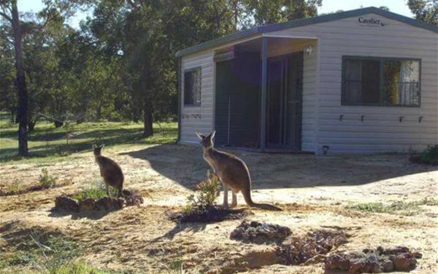 Coomallo Park Chalets, Accommodation in Hill River