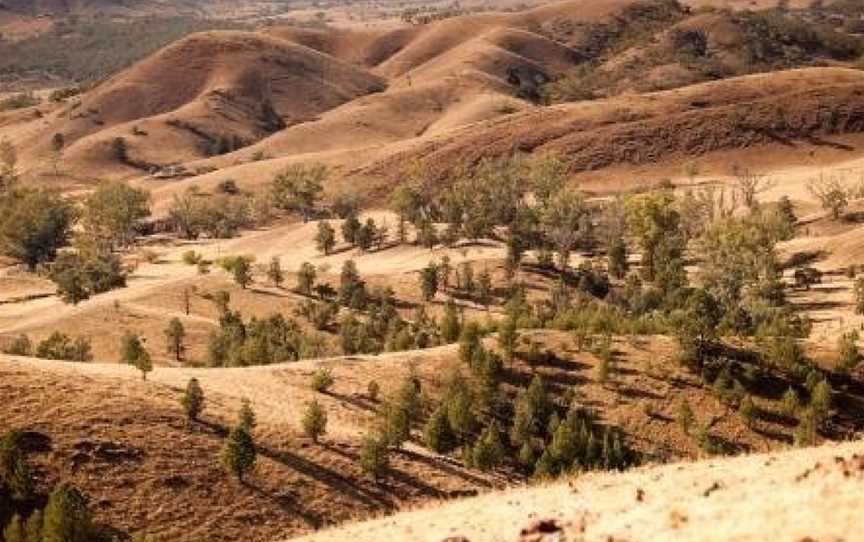 Arkaba, Flinders Ranges, SA