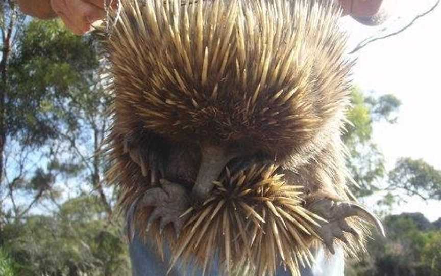 Koopalanda Dreaming, Vivonne Bay, SA