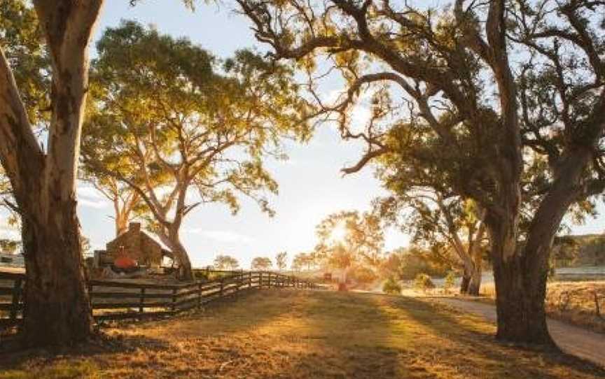 Brockenchack Vineyard Bed & Breakfast, Keyneton, SA