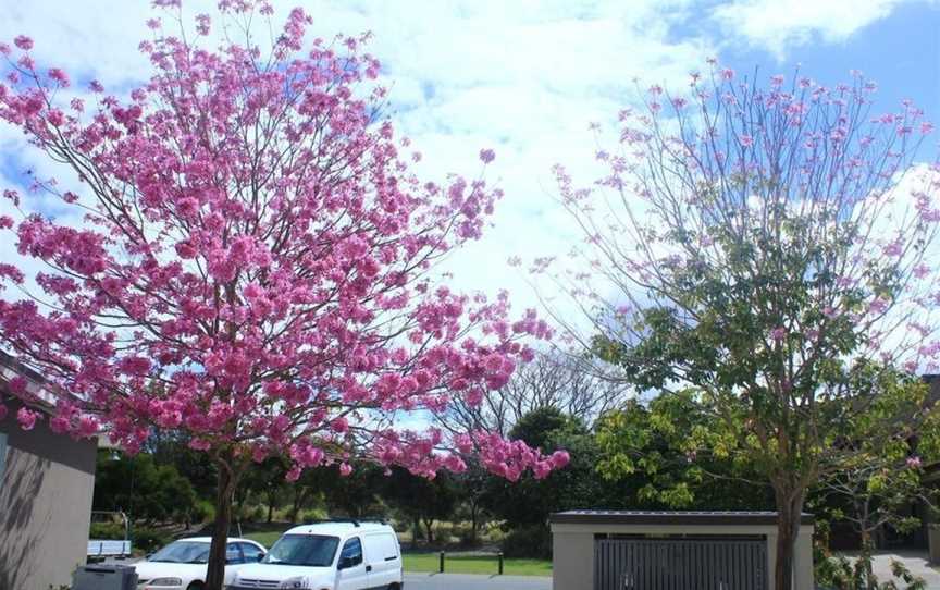 Signature Waterfront Apartments, Merrimac, QLD