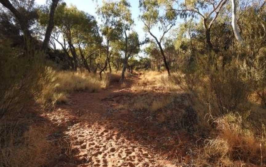 Ooraminna Homestead, Hale, NT