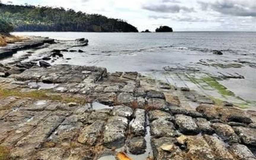 Eaglehawk Rainforest Retreat, Eaglehawk Neck, TAS