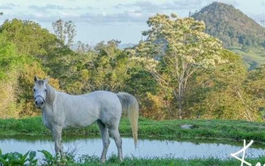 Rosecliffe Boutique Farm Cottages, Cooran, QLD