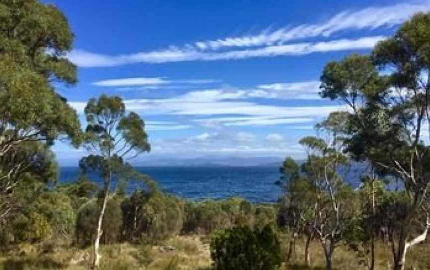 Te Kuiti Bruny Island Cottage, Alonnah, TAS