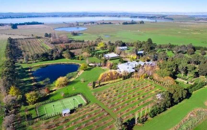 Orchards at Spring Vale Farm, Weatherboard, VIC