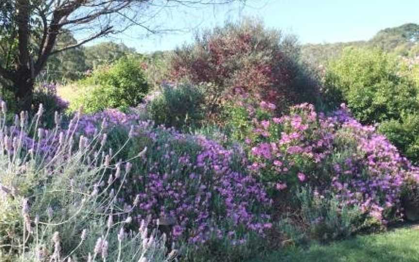 Anderida, Arthurs Seat, VIC