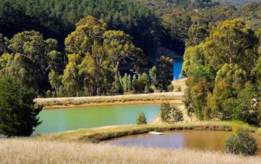 Montage, Glenlyon, VIC