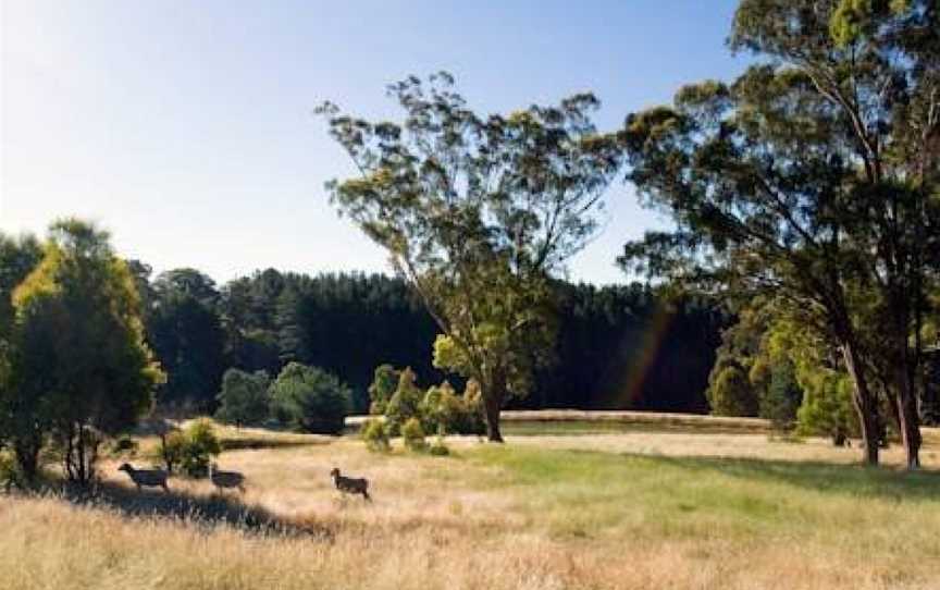 Montage, Glenlyon, VIC