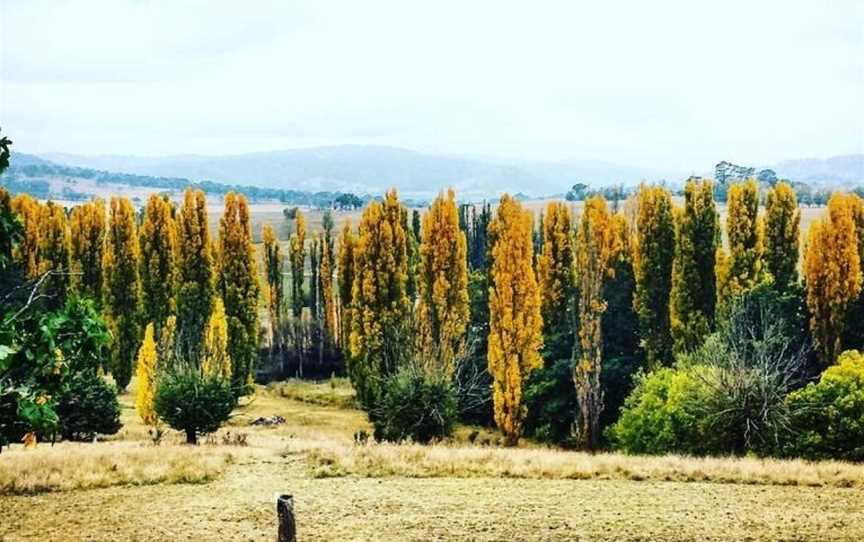 Mutton Falls, Tarana, NSW