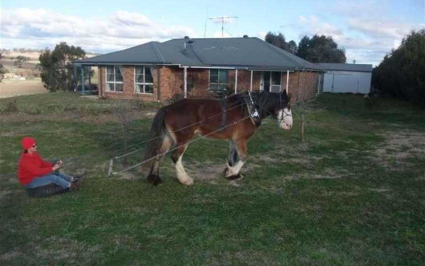 Barcoo's Barn, Perthville, NSW