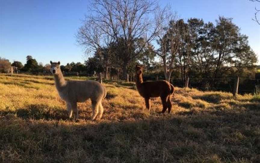 muswellbrook northside B&B, Muswellbrook, NSW