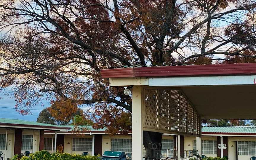 County Lodge Motel, West Wyalong, NSW