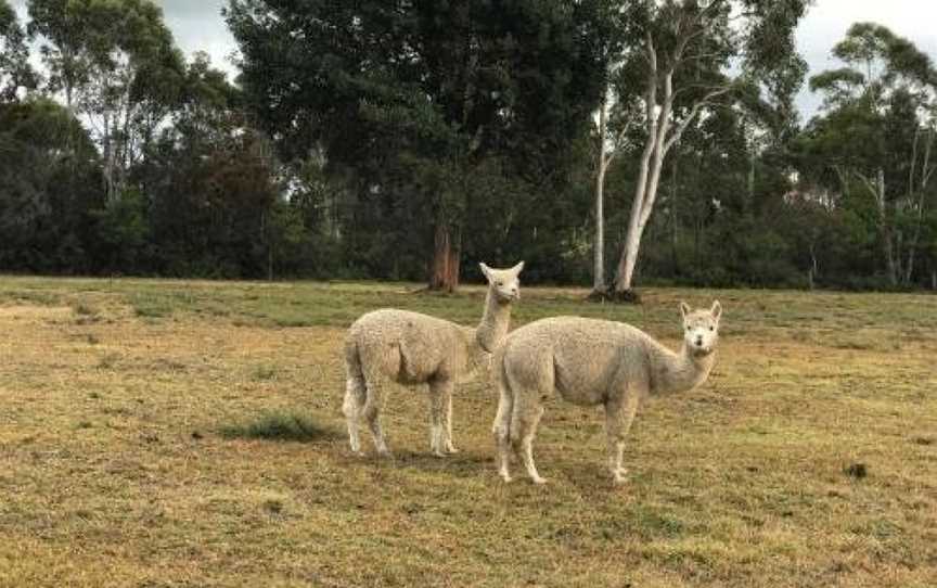 The Woods Farm Jervis Bay, Tomerong, NSW