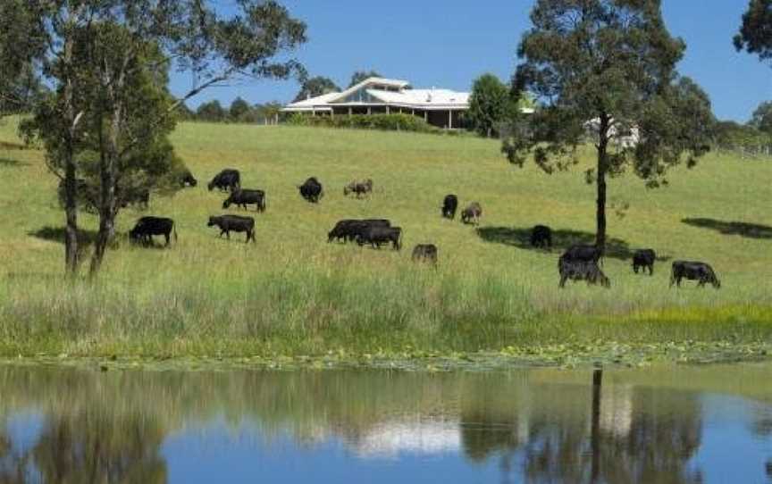 'Talumberi,' 221 Trapyard Road, Wang Wauk, NSW