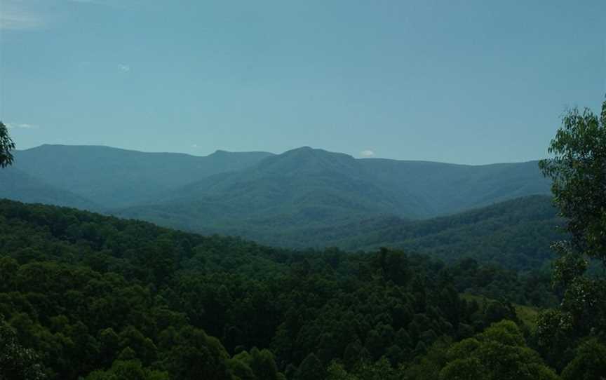 Tristania Tops, Upper Allyn, NSW