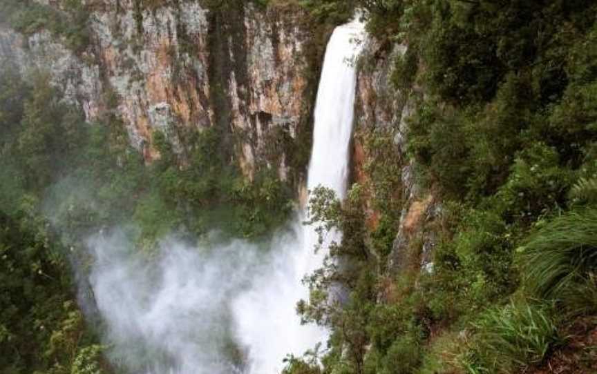 Springbrook Lyrebird Retreat, Springbrook, NSW