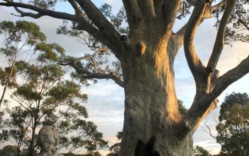 The Tree Motel, Narooma, NSW