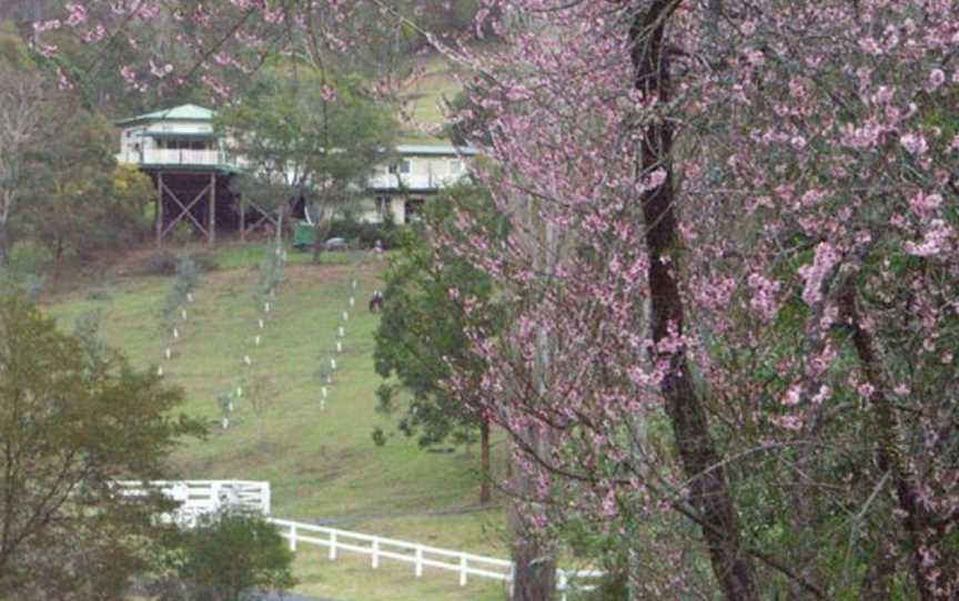 Goldie's Place Rainforest Retreat B & B, Copeland, NSW