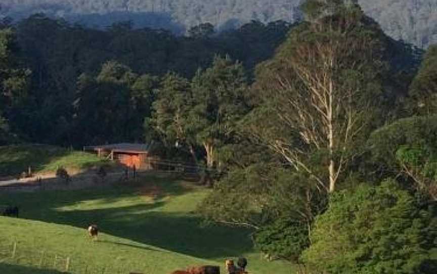 Amaroo Valley Springs, Kangaroo Valley, NSW