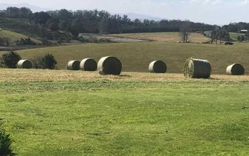 Windrush BnB - Comboyne Australia, Comboyne, NSW