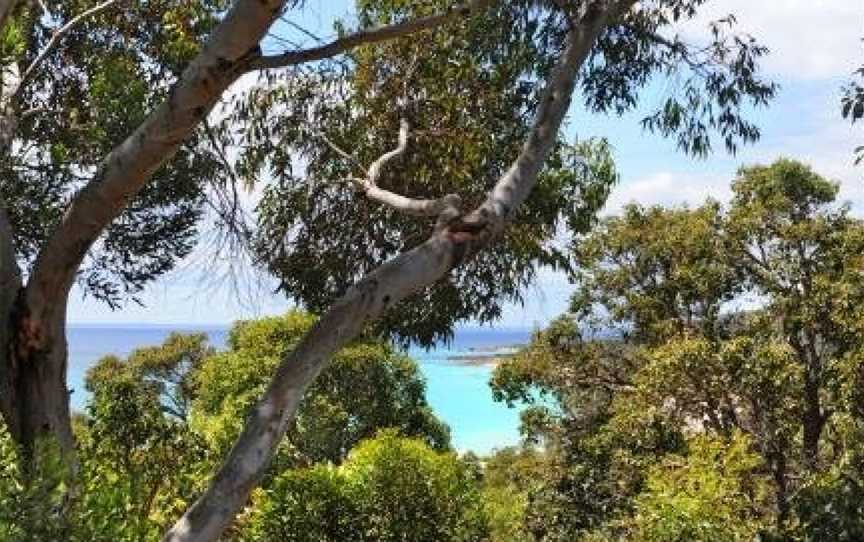 Kestral Ashore, Eagle Bay, WA