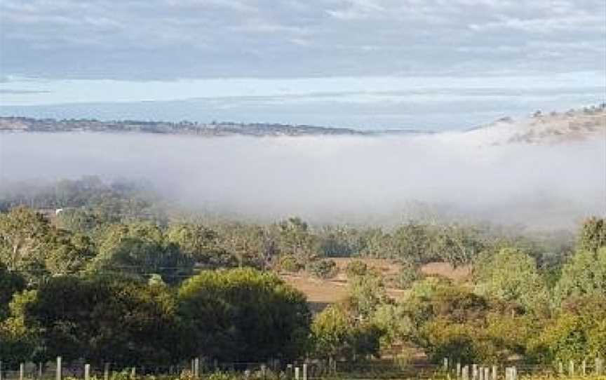 Pecan Hill BNB, West Toodyay, WA