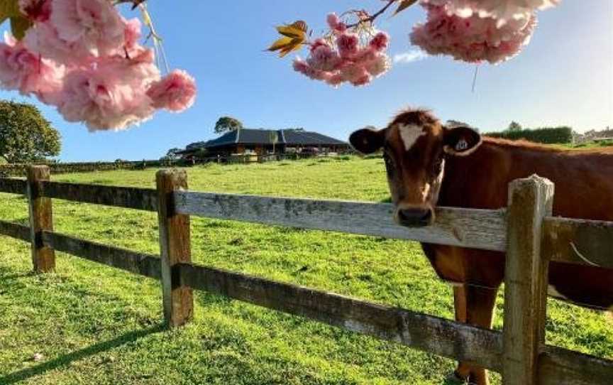 Heaven's Rest B&B, Pukekohe East, New Zealand