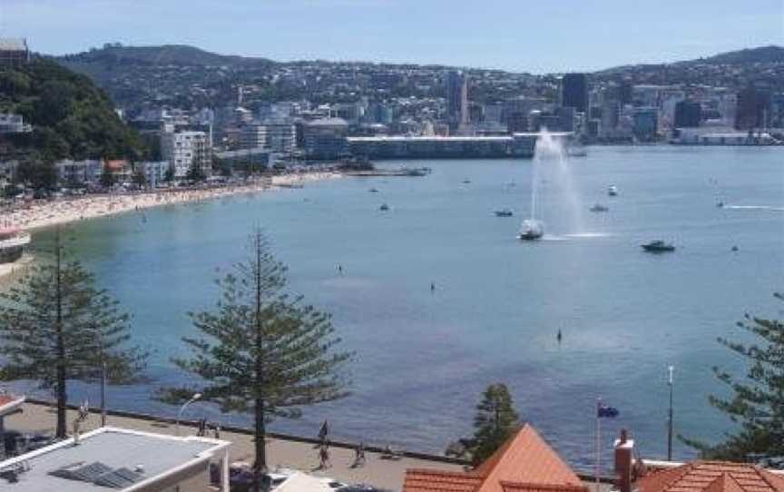 Oriental Bay At Its Best, Wellington (Suburb), New Zealand