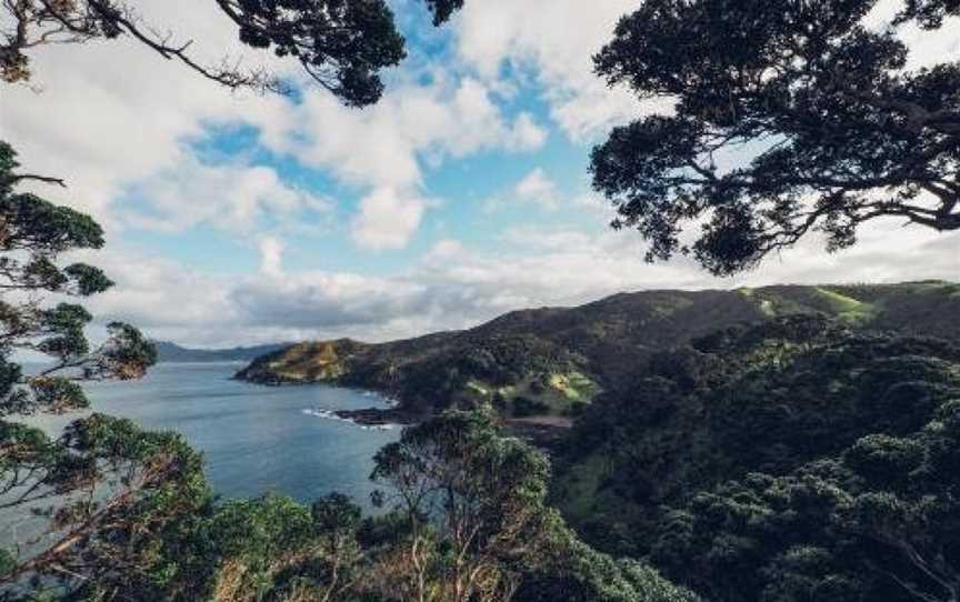 Te Whara at Kauri Mountain Point, Rukuwai, New Zealand