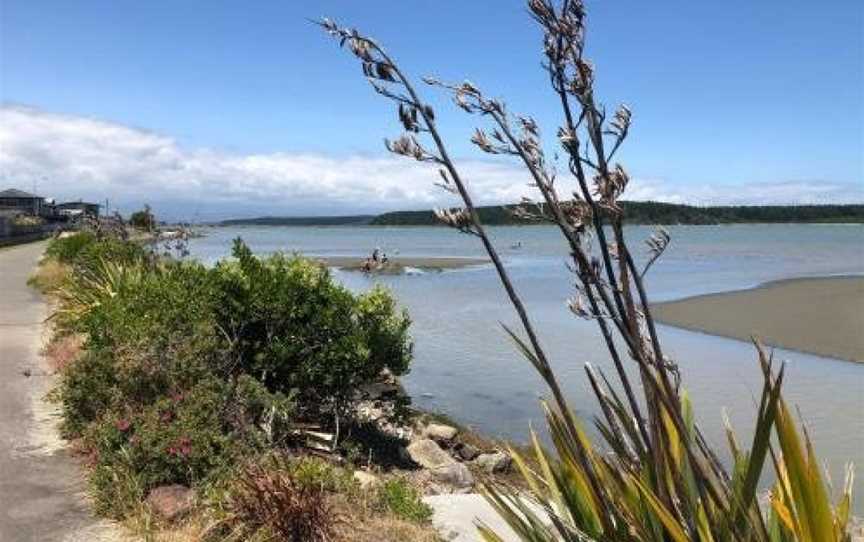 Nikaus on Palmer, Foxton Beach, New Zealand