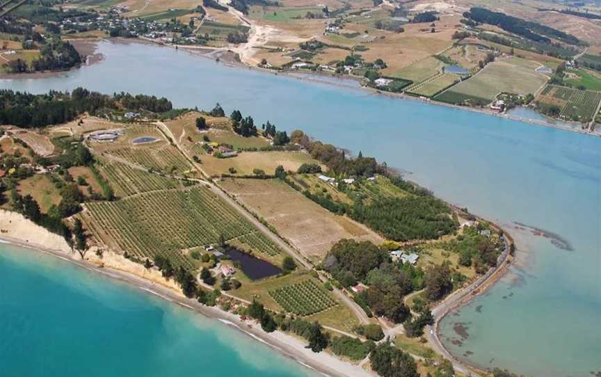 The Waters, Brown Owl, New Zealand