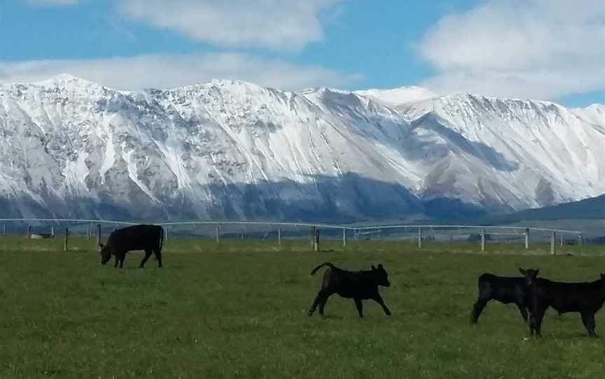 Mt Potts Lodge, Staveley, New Zealand