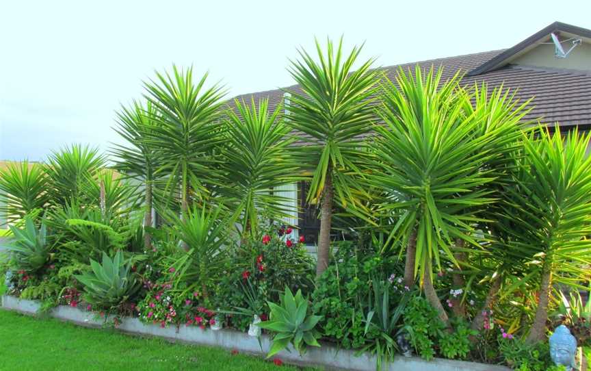 Mangrove Manor Bed & Breakfast, Coromandel, New Zealand