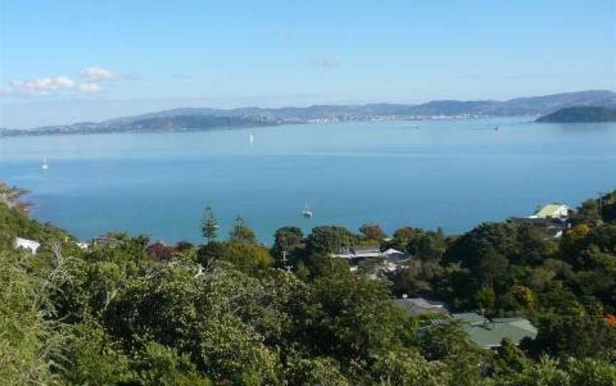 Breakaway at York Bay, Homedale, New Zealand