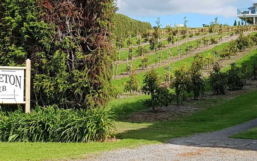 RIDGETON, Omokoroa Beach, New Zealand