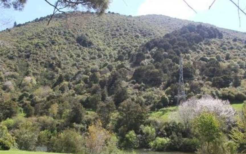 Riverbank Retreat, Rai Valley, New Zealand