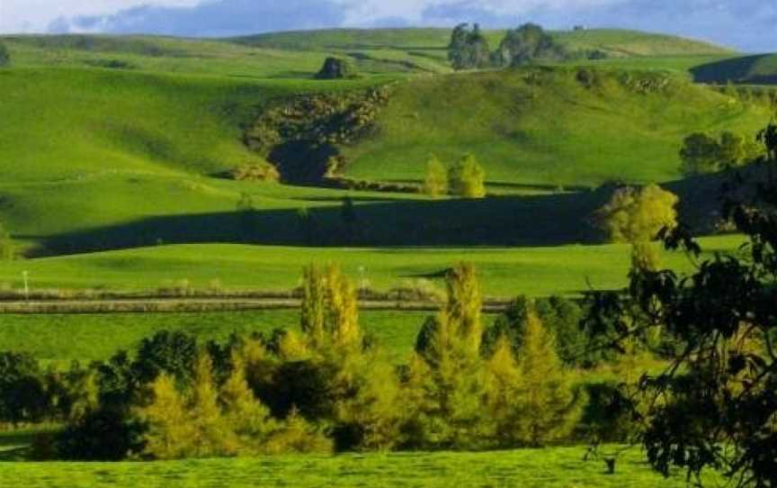 kaiwera warm cozy cottage, Gore, New Zealand