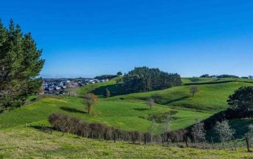 Cosy Lifestyle Cottage Perfect Getaway, Pukekohe, New Zealand