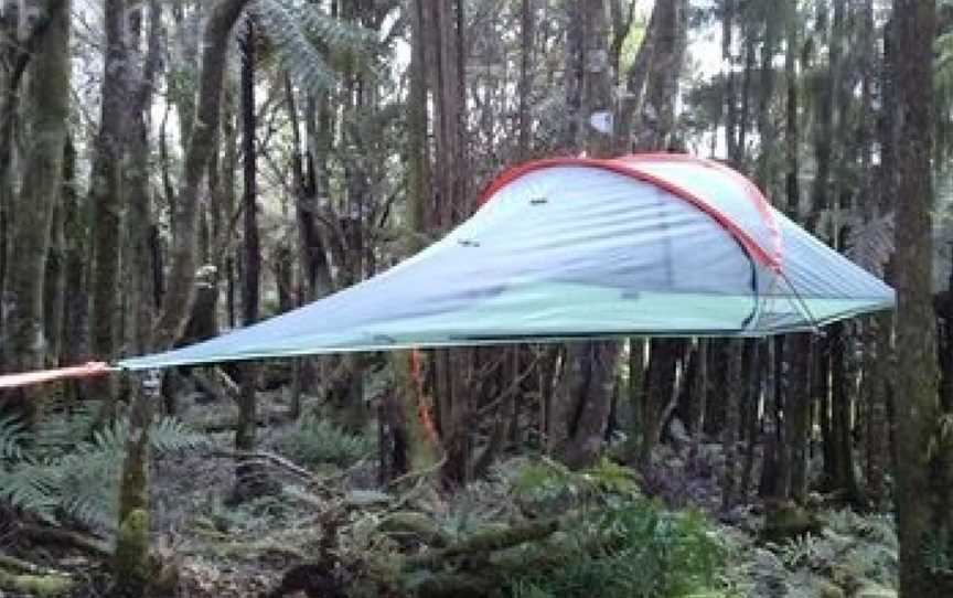 Pupu Rangi Nature Sanctuary - Conservation Area, Tutamoe, New Zealand